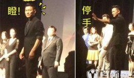 娱乐爆料刘德华视频播放,幕后故事引网友热议